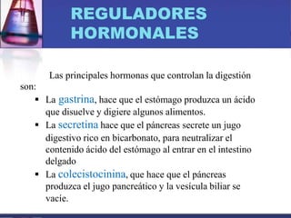 REGULADORES
HORMONALES
Las principales hormonas que controlan la digestión
son:
 La gastrina, hace que el estómago produzca un ácido
que disuelve y digiere algunos alimentos.
 La secretina hace que el páncreas secrete un jugo
digestivo rico en bicarbonato, para neutralizar el
contenido ácido del estómago al entrar en el intestino
delgado
 La colecistocinina, que hace que el páncreas
produzca el jugo pancreático y la vesícula biliar se
vacíe.
 