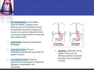  HEMORROIDES: Varicosidad (
Venas hinchadas y algunas veces
dolorosas que se han llenado con una
acumulación anormal de sangre) que
asienta en la porción inferior del recto
o el ano por congestión de las venas del
plexo hemorroidal.
 HEPATITIS: Trastorno inflamatorio
del hígado.
 PANCREATITIS: Proceso
inflamatorio del páncreas que puede ser
agudo o crónico.
 SALMONELOSIS: Forma de
gastroenteritis causada por la ingesta de
alimentos contaminados con
salmonella.
 HERNIA: Protrusión de un
órgano a través de una
abertura anormal en la pared
muscular de la cavidad que
lo rodea.
 