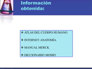 Información
obtenida:
 ATLAS DEL CUERPO HUMANO
 INTERNET: ANATOMÍA.
 MANUAL MERCK
 DICCIONARIO MOSBY
 