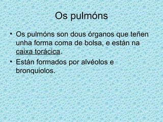 Os pulmóns
• Os pulmóns son dous órganos que teñen
unha forma coma de bolsa, e están na
caixa torácica.
• Están formados por alvéolos e
bronquiolos.
 