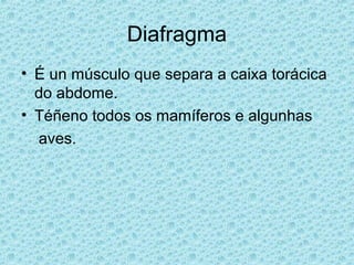 Diafragma
• É un músculo que separa a caixa torácica
do abdome.
• Téñeno todos os mamíferos e algunhas
aves.
 