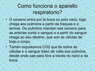Como funciona o aparello
respiratorio?
• O osíxeno entra por la boca ou polo nariz, logo
chega aos pulmóns a partir da traquea e a
larinxe. Os pulmóns mandan ese osíxeno para
as arterias xunta o sangue e a partir do sangue
chega ao seu destino, que son as células de
todo o corpo.
• Tamén expulsamos CO2 que lle sobra ás
células e o sangue tráeo de volta aos pulmóns,
desde onde sae para fóra a través do nariz e da
boca.
 
