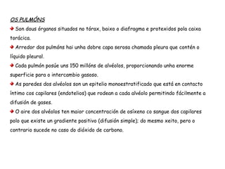 OS PULMÓNS
Son dous órganos situados no tórax, enriba do diafragma e protexidos pola caixa
torácica.
Arredor dos pulmóns hai unha dobre capa serosa chamada pleura que contén o
líquido pleural.
Cada pulmón posúe uns 150 millóns de alvéolos, proporcionando unha enorme
superficie para o intercambio gasoso.
As paredes dos alvéolos son un epitelio monoestratificado que está en contacto
íntimo cos capilares (endotelios) que rodean a cada alvéolo permitindo fácilmente a
difusión de gases.
O aire dos alvéolos ten maior concentración de osíxeno co sangue dos capilares
polo que existe un gradiente positivo (difusión simple); do mesmo xeito, pero o
contrario sucede no caso do dióxido de carbono.
 