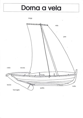 Dorno o velo
verga
barragán
 