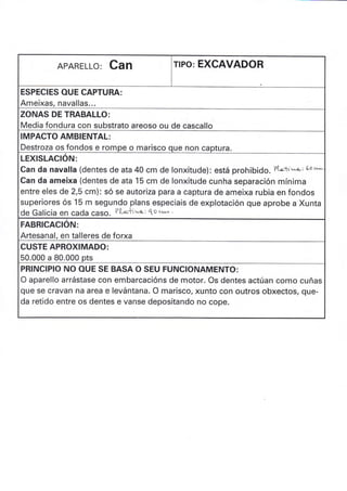 APARELLO: CAN rlPo: EXCAVADOR
ESPECIES OUE CAPTURA:
Ameixas, navallas...
ZONAS DE TRABALLO:
Media fondura con substrato areoso ou de cascallo
IMPACTO AMBIENTAL:
Destroza os fondos e rompe o marisco que non captura.
LEXISLACIÓN:
Can da navalla (dentes de ata 40 cm de lonxitude): está prohibide. ?(.t.,,-o-: Goo*
Can da ameixa (dentes de ata 15 cm de Ionxitude cunha separación mínima
entre eles de 2,5 cm): só se autoriza para a captura de ameixa rubia en fondos
superiores ós 15 m segundo plans especiais de explotación que aprobe a Xunta
de Galicia en cada caso. ?'Q'ofi'^,.o': o c-t'^ '
FABRICACION:
Artesanal, en talleres de forxa
CUSTE APROXIMADO:
50.000 a 80.000 pts
PRINCIPIO NO OUE SE BASA O SEU FUNC¡ONAMENTO:
O aparello arrástase con embarcacións de motor. Os dentes actúan como cuñas
que se cravan na area e Ievántana. O marisco, xunto con outros obxectos, que-
da retido entre os dentes e vanse depositando no cope.
 