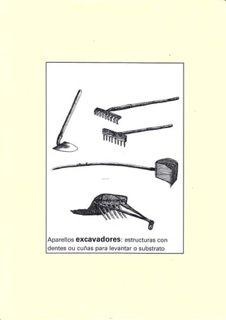 Aparellos exGavadOfeS: estructuras con
dentes ou cuñas para levantar o substrato
 
