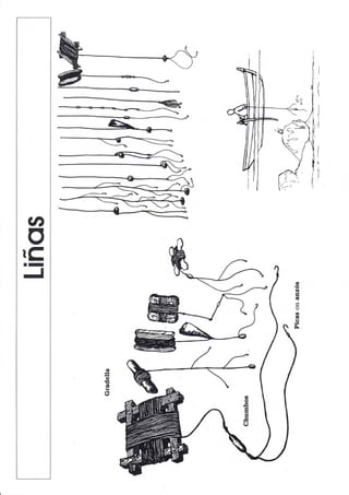 cn
orcII
J
G,
c)
E
dk
(5
 