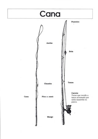 Cono
Cana
Anelas
Chumbo
Pica ou anzó
Punteiro
Carrete
Torno que recolle a
tanza accionado por
unha manivela ou
pafrca.
Manso
 