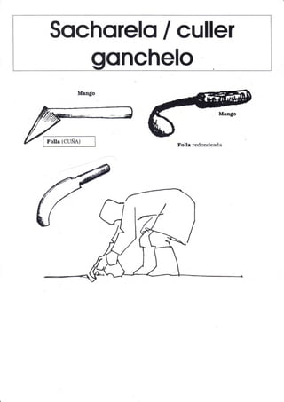 Sochorelo lculler
onchelo
 