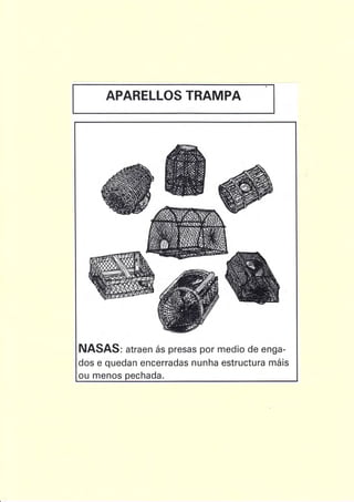 APARELLOS TRAMPA
NASAS: atraen ás presas por medio de enga-
dos e quedan encerradas nunha estructura máis
ou menos oechada.
 