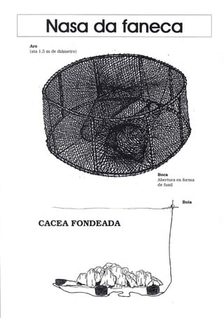 Noso do foneco
(ata 1,5 m de diámetro)
Abertura en forma
de funil
Boia
CACEA FONDEADA
 