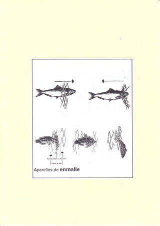 Aparellos de enmalle
 