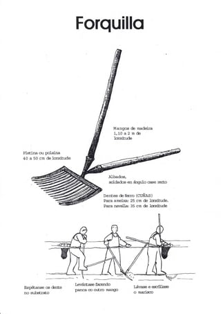 Forquillo
Pldjrra ou poLaina
40 a 50 cm de lonxitude
Es¡Éanse e derte
no suibsb:*o
Mangos de madeira
1,10a2mde
lcr¡ritude
Albados,
sotdados en árgu1o case recto
Dentes de tu::o (cuÑas )
Para amei:«a: 25 cm de lcr»<itude.
Para narralla: 35 cm de lcrpritude
feÉrA¿se faendo
panca o ort¡o mango
Lár¡ase e escdlere
o marisoo
 