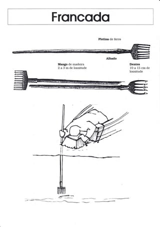 Froncodo
Pletina de ferro
Mango de madeira
2 a 3 rn de lonxitude
Dentes
lOa15cmde
lonxitude
ñ<- .---
 