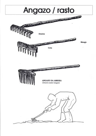 Angozo lrosto
Mango
AT{GAZO DA AMEIXA
(Dentes máis longos)
 
