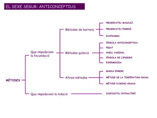 EL SEXE SEGUR: ANTICONCEPTIUS MÈTODES Que impedeixen la fecundació Mètodes químics Mètodes de barrera Altres mètodes Que impedeixen la nidació PRESERVATIU MASCULÍ PRESERVATIU FEMENÍ DIAFRAGMA PEGAT PÍNDOLA DE L’ENDEMÀ ESPERMICIDA MARXA ENRERE MÈTODE DE LA TEMPERATURA BASAL MÈTODE D’OGINO-KNAUS DISPOSITIU INTRAUTERÍ PÍNDOLA ANTICONCEPTIVA ANELL VAGINAL 