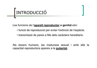 INTRODUCCIÓ
Les funcions de l’aparell reproductor o genital són:
• funció de reproducció per evitar l’extinció de l’espècie.
• transmissió de pares a fills dels caràcters hereditaris.• transmissió de pares a fills dels caràcters hereditaris.
Als éssers humans, las maduresa sexual i amb ella la
capacitat reproductora apareix a la pubertat.
 