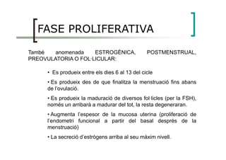 FASE PROLIFERATIVA
També anomenada ESTROGÈNICA, POSTMENSTRUAL,
PREOVULATORIA O FOL·LICULAR:
• Es produeix entre els dies 6 al 13 del cicle
• Es produeix des de que finalitza la menstruació fins abans• Es produeix des de que finalitza la menstruació fins abans
de l’ovulació.
• Es produeix la maduració de diversos fol·licles (per la FSH),
només un arribarà a madurar del tot, la resta degeneraran.
• Augmenta l’espesor de la mucosa uterina (proliferació de
l’endometri funcional a partir del basal després de la
menstruació)
• La secreció d’estrògens arriba al seu màxim nivell.
 