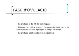FASE d’OVULACIÓ
• Es produeix el dia 14 del cicle regular.
• Ruptura del fol·licle madur i ’expulsió de l’òvul cap a la• Ruptura del fol·licle madur i ’expulsió de l’òvul cap a la
cavitat pèlvica on serà agafat per la trompa de fal·lopi.
• Es produeix una baixada de la temperatura
 