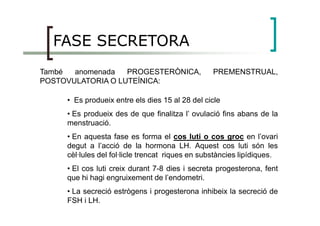 FASE SECRETORA
També anomenada PROGESTERÒNICA, PREMENSTRUAL,
POSTOVULATORIA O LUTEÍNICA:
• Es produeix entre els dies 15 al 28 del cicle
• Es produeix des de que finalitza l’ ovulació fins abans de la• Es produeix des de que finalitza l’ ovulació fins abans de la
menstruació.
• En aquesta fase es forma el cos luti o cos groc en l’ovari
degut a l’acció de la hormona LH. Aquest cos luti són les
cèl·lules del fol·licle trencat riques en substàncies lipídiques.
• El cos luti creix durant 7-8 dies i secreta progesterona, fent
que hi hagi engruixement de l’endometri.
• La secreció estrògens i progesterona inhibeix la secreció de
FSH i LH.
 