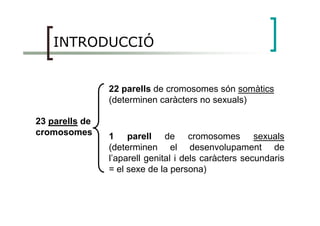 INTRODUCCIÓ
22 parells de cromosomes són somàtics
(determinen caràcters no sexuals)
23 parells de
cromosomes 1 parell de cromosomes sexuals
(determinen el desenvolupament de
l’aparell genital i dels caràcters secundaris
= el sexe de la persona)
 