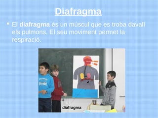 Diafragma
 El diafragma és un múscul que es troba davall
  els pulmons. El seu moviment permet la
  respiració.




     ...