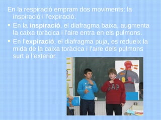 En la respiració empram dos moviments: la
  inspiració i l’expiració.
 En la inspiració, el diafragma baixa, augmenta
  l...