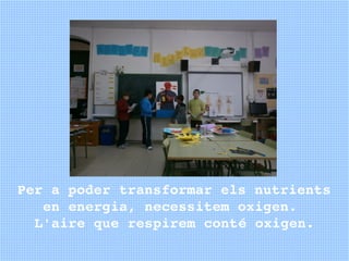 Per a poder transformar els nutrients 
   en energia, necessitem oxigen. 
  L'aire que respirem conté oxigen.
 