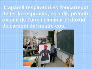 L’aparell respiratori és l'encarregat
de fer la respiració, és a dir, prendre
oxigen de l’aire i eliminar el diòxid
de car...