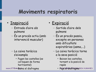 Moviments respiratoris Inspiració Entrada d’aire als pulmons És un procés actiu (amb intervenció muscular) La caixa toràcica s’eixampla Pugen les costelles (es col·loquen de forma horitzontal) Baixa el diafragma Expiració Sortida d’aire dels pulmons És un procés passiu, excepte en persones amb dificultats expiratòries (asma,...) La caixa toràcica torna a la seva posició Baixen les costelles, tornant a la posició de repòs Puja el diafragma 