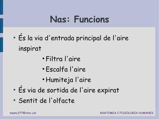 Nas: Funcions És la via d'entrada principal de l'aire inspirat Filtra l'aire Escalfa l'aire Humiteja l'aire És via de sortida de l'aire expirat Sentit de l'olfacte 