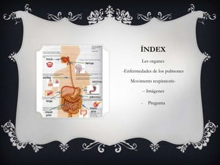 ÍNDEX
Les organes
-Enfermedades de los pulmones
Moviments respiratoris-
-- Imágenes
- Pregunta
 