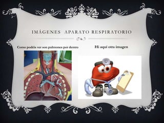 IMÁGE NES APARATO RE SPIRATORIO
Como podéis ver son pulmones por dentro Hi aquí otra imagen
 