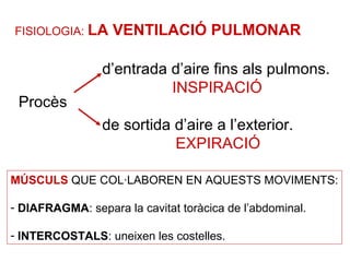 FISIOLOGIA: LA VENTILACIÓ PULMONAR
Procès
d’entrada d’aire fins als pulmons.
INSPIRACIÓ
de sortida d’aire a l’exterior.
EXPIRACIÓ
MÚSCULS QUE COL·LABOREN EN AQUESTS MOVIMENTS:
- DIAFRAGMA: separa la cavitat toràcica de l’abdominal.
- INTERCOSTALS: uneixen les costelles.
 