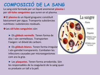 COMPOSICIÓ DE LA SANG
La sang està formada per un líquid anomenat plasma i
per cèl·lules sanguínies que suren en el plasma.
El plasma és un líquid groguenc constituït
bàsicament per aigua. Transporta substàncies
nutritives i substàncies residuals.
Les cèl·lules sanguínies són:
Els glòbuls vermells. Tenen forma de
disc i són vermellosos. Transporten
l'oxigen i el diòxid de carboni.
Els glòbuls blancs. Tenen forma irregular
i són gairebé transparents. Combaten les
infeccions causades per microorganismes
com ara la grip.
Les plaquetes. Tenen forma arrodonida. Són
les responsables de la coagulació de la sang quan
es produeix un tall a la pell.
 