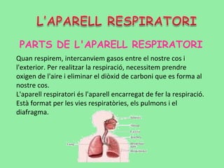 PARTS DE L'APARELL RESPIRATORI
Quan respirem, intercanviem gasos entre el nostre cos i
l'exterior. Per realitzar la respiració, necessitem prendre
oxigen de l'aire i eliminar el diòxid de carboni que es forma al
nostre cos.
L'aparell respiratori és l'aparell encarregat de fer la respiració.
Està format per les vies respiratòries, els pulmons i el
diafragma.
 