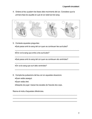 L'aparell circulatori

4. Ordena al teu quadern les fases dels moviments del cor. Considera que la
   primera fase és aquella en què el cor està buit de sang:




5. Contesta aquestes preguntes:
  •Què passa amb la sang del cor quan es contreuen les aurícules?
  ________________________________________________________________
  •D'on ve la sang que entra a les aurícules?
  ________________________________________________________________
  •Què passa amb la sang del cor quan es contreuen els ventricles?
  ________________________________________________________________
  •On va la sang que surt dels ventricles?
  ________________________________________________________________


6. Compta les pulsacions del teu cor en aquestes situacions:
  •Quan estàs assegut.
  •Quan estàs dret.
  •Després de pujar i baixar les escales de l'escola dos cops.


Raona el motiu d'aquestes diferències.
________________________________________________________________
________________________________________________________________
________________________________________________________________




                                                                                    3
 