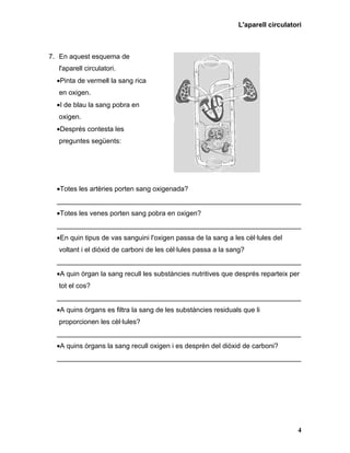 L'aparell circulatori



7. En aquest esquema de
  l'aparell circulatori.
  •Pinta de vermell la sang rica
  en oxigen.
  •I de blau la sang pobra en
  oxigen.
  •Després contesta les
  preguntes següents:




  •Totes les artèries porten sang oxigenada?
  ________________________________________________________________
  •Totes les venes porten sang pobra en oxigen?
  ________________________________________________________________
  •En quin tipus de vas sanguini l'oxigen passa de la sang a les cèl·lules del
  voltant i el diòxid de carboni de les cèl·lules passa a la sang?
  ________________________________________________________________
  •A quin òrgan la sang recull les substàncies nutritives que després reparteix per
  tot el cos?
  ________________________________________________________________
  •A quins òrgans es filtra la sang de les substàncies residuals que li
  proporcionen les cèl·lules?
  ________________________________________________________________
  •A quins òrgans la sang recull oxigen i es desprèn del diòxid de carboni?
  ________________________________________________________________




                                                                                  4
 