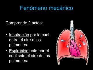 Fenómeno mecánico
Comprende 2 actos:
• Inspiración por la cual
entra el aire a los
pulmones.
• Espiración acto por el
cual sale el aire de los
pulmones.
ANATOMIA HUMANA
ESTOMATOLOGIA 2015
 