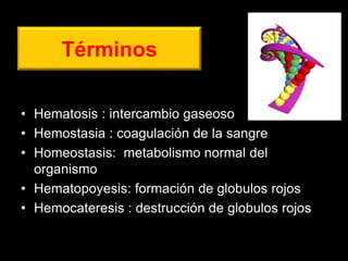Términos
• Hematosis : intercambio gaseoso
• Hemostasia : coagulación de la sangre
• Homeostasis: metabolismo normal del
organismo
• Hematopoyesis: formación de globulos rojos
• Hemocateresis : destrucción de globulos rojos
ANATOMIA HUMANA
ESTOMATOLOGIA 2015
 