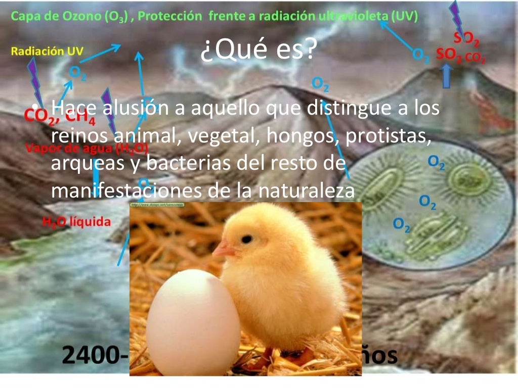 Aparición de los primeros seres vivos en la