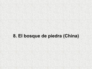 8. El bosque de piedra (China) 