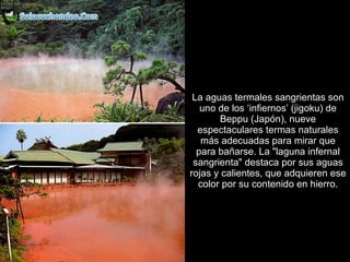 La aguas termales sangrientas son uno de los ‘infiernos’ (jigoku) de Beppu (Japón), nueve espectaculares termas naturales más adecuadas para mirar que para bañarse. La "laguna infernal sangrienta" destaca por sus aguas rojas y calientes, que adquieren ese color por su contenido en hierro. 