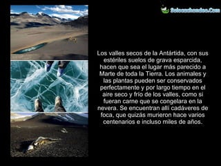 Los valles secos de la Antártida, con sus estériles suelos de grava esparcida, hacen que sea el lugar más parecido a Marte de toda la Tierra. Los animales y las plantas pueden ser conservados perfectamente y por largo tiempo en el aire seco y frío de los valles, como si fueran carne que se congelara en la nevera. Se encuentran allí cadáveres de foca, que quizás murieron hace varios centenarios e incluso miles de años. 