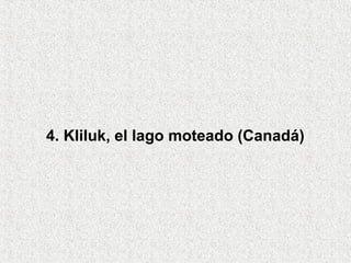 4. Kliluk, el lago moteado (Canadá)
 