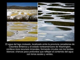 El agua del lago moteado, localizado entre la provincia canadiense de
    Columbia Británica y el estado norteamericano de Washington,
 conlleva ricos recursos minerales, formando círculos con los bordes
 blancos: charcos poco profundos que reflejan el contenido del agua
                      con tonos azules y verdes.
 