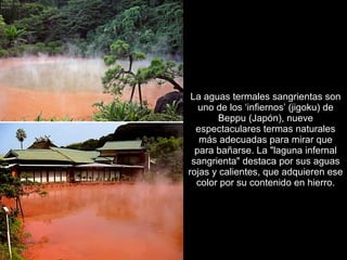 La aguas termales sangrientas son
   uno de los ‘infiernos’ (jigoku) de
        Beppu (Japón), nueve
  espectaculares termas naturales
   más adecuadas para mirar que
  para bañarse. La "laguna infernal
 sangrienta" destaca por sus aguas
rojas y calientes, que adquieren ese
  color por su contenido en hierro.
 