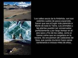 Los valles secos de la Antártida, con sus
  estériles suelos de grava esparcida,
 hacen que sea el lugar más parecido a
 Marte de toda la Tierra. Los animales y
  las plantas pueden ser conservados
 perfectamente y por largo tiempo en el
  aire seco y frío de los valles, como si
  fueran carne que se congelara en la
nevera. Se encuentran allí cadáveres de
 foca, que quizás murieron hace varios
  centenarios e incluso miles de años.
 