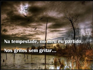 Na tempestade, no meu eu partido, Nos gritos sem gritar…