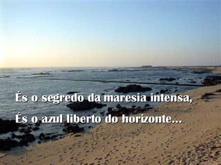 És o segredo da maresia intensa, És o azul liberto do horizonte…